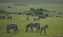 探索音乐新天地，2024年最新音乐网址大全
