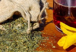 小学生百科常识100题，动物篇