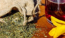 小学生百科常识100题，动物篇