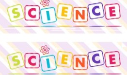 探索茶的奥秘，降低血压的茶饮选择