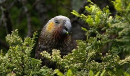 百科问答题库及答案大全，免费下载资源的探索与利用