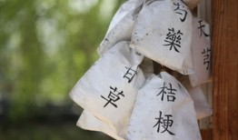 6000种中草药大全明细，传统医学的瑰宝与现代应用