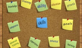 花的象征意义，自然之美与人类情感的交汇