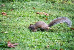 文化百科知识竞赛题库，探索世界的多样性与智慧
