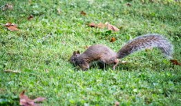 文化百科知识竞赛题库，探索世界的多样性与智慧