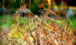 中国传统文化100集，传承千年的智慧与精神