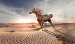 探索茶的奥秘，高血喝什么茶能降血压