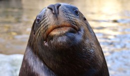 中国近代历史知识竞赛题库，穿越时空的挑战