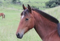 百科大全，知识的海洋与智慧的宝库