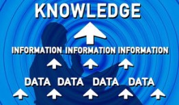 揭秘熊猫的奇妙世界，你所不知道的冷知识