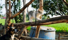 近代历史常识100题选择题，探索历史的深度与广度