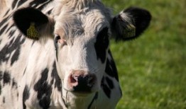 儿童百科全书推荐，开启孩子智慧之门的钥匙