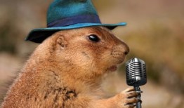 央视首页导航，中国媒体的门户与桥梁