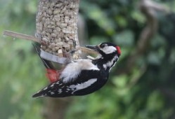 高中生百科知识大全及答案，探索知识的海洋