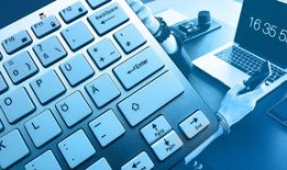 玫瑰花与其他花卉的完美搭配艺术