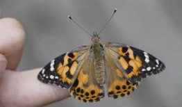 百科全书，探索知识的无限可能