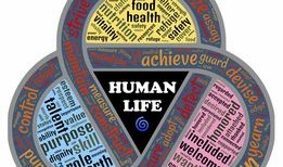 花语与寓意，花与花搭配的艺术