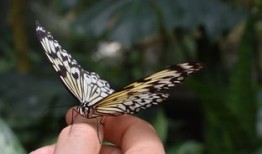 中国近代史常识1000题，从鸦片战争到新中国成立