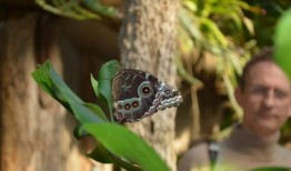 动物王国的奥秘，精选动物类百科全书推荐