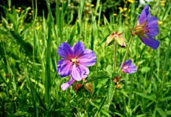 小学常识大全1000题，知识宝库，智慧启蒙