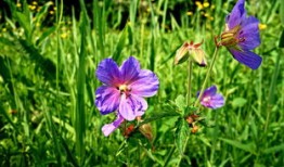 探索中国文化的瑰宝，百科知识题库及答案