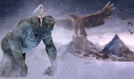 动物百问百答视频教学，开启探索动物世界的奇妙之旅