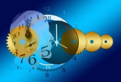 动物类百科全书，探索自然界的奇迹