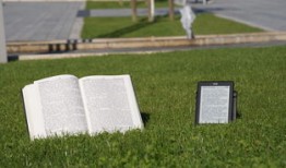 花之语，自然之美的诗意表达