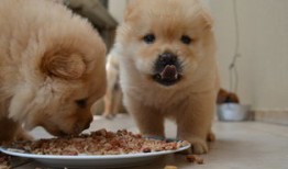 中国传统文化100集，传承千年的智慧与精神