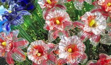 探索茶的奥秘，降低血压的茶饮选择