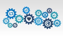 熊猫的冷门知识，揭秘这些可爱生物的神秘面纱