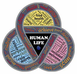 百科知识竞赛答题100道及答案,挑战你的知识极限 百科知识竞赛答题100道及答案,挑战你的知识极限