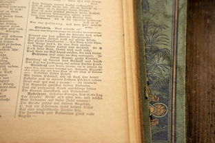 熊猫,中国国宝的奥秘与保护 熊猫,中国国宝的奥秘与保护