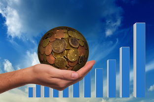 金银花搭配的艺术,传统与现代的完美结合 金银花搭配的艺术,传统与现代的完美结合