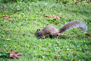 高中百科知识，探索知识的海洋