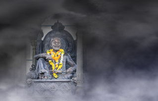 探索问财搜索，金融信息检索的未来