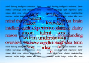 揭秘熊猫王国，你所不知道的冷知识