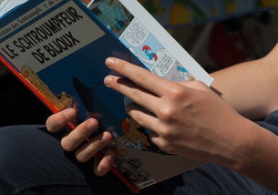 揭秘熊猫王国，你所不知道的冷知识